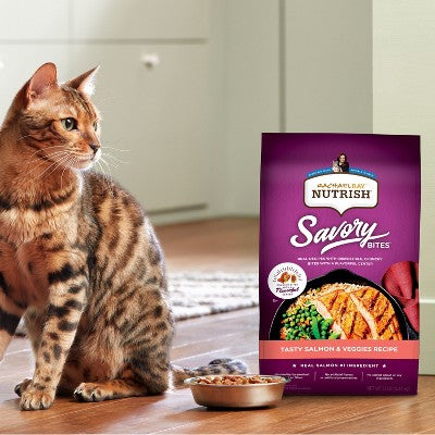 Rachael Ray Nutrish Tasty Salmon and Vegetable Recipe Dry Cat Food - 5lbs