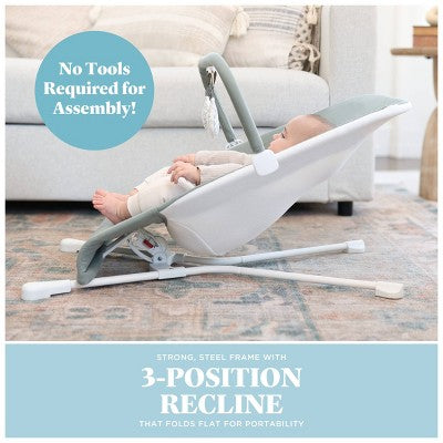 Baby Delight Highland Portable Bouncer - Organic Sage: Folds for Easy Transport, 3-Point Harness, Steel Frame