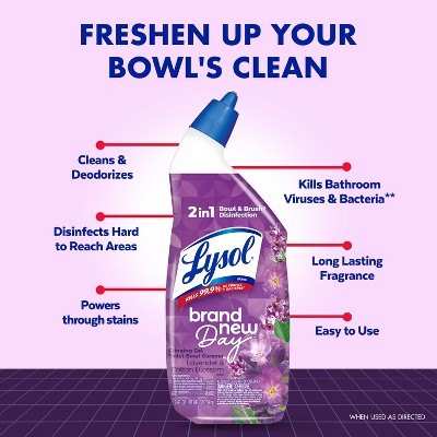 Lysol Lavender Liquid Toilet Bowl Cleaner - 48 fl oz/2ct