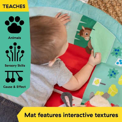 Baby Einstein Happy Harvest Touch & Feel Activity Gym (LOCAL PICKUP ONLY)