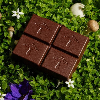 Alice Mushrooms Brainstorm Mushroom Dietary Supplement Chocolates - 8ct