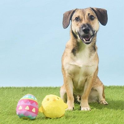 BARK Easter Chickie Poo Dog Animal Ball Toy - 2pc