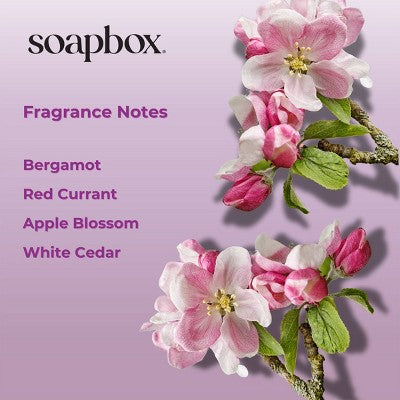 Soapbox Mane Tamer Leave-In Conditioner - 8 fl oz