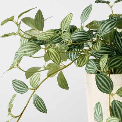 10" Small Trailing Peperomia Artificial Plant - Hearth & Hand with Magnolia