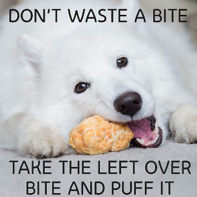 Himalayan Dog Chew Yak Cheese Dog Chews - Bacon Flavor Large - 1 Stick