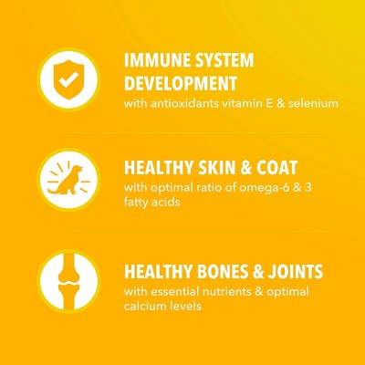 IAMS Proactive Health Chicken and Whole Grains Flavor Puppy Dry Dog Food - 7lbs