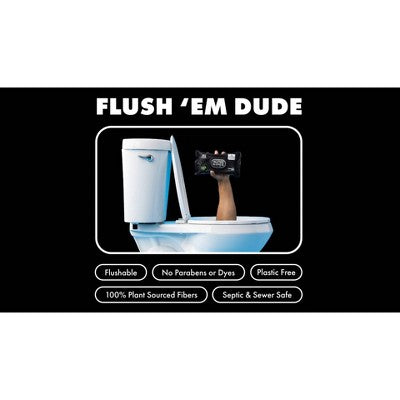 Dude Wipes Odor Destroyer Flushable Personal Wipes - 48ct/3pk