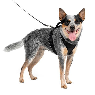 PetSafe EasySport Adjustable Dog Harness - M - Black: Nylon, Comfort-Grip, Reflective