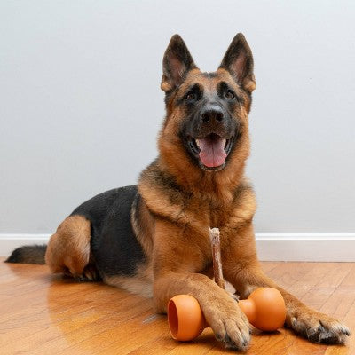 Bow Wow Buddy Safety Device Holder for Dog Bully Sticks and Chews - M