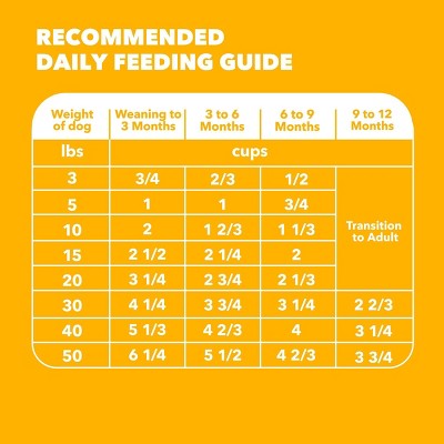 IAMS Proactive Health Chicken and Whole Grains Flavor Puppy Dry Dog Food - 7lbs