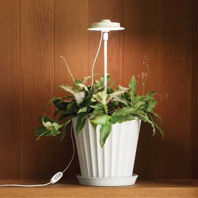 16" Plant Grow Light Stake Sour Cream - Hearth & Hand with Magnolia