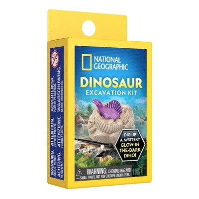 National Geographic Dino Dig Excavation Kit