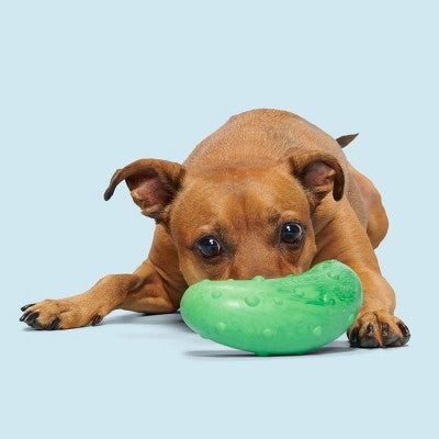 BARK Super Chewer Pickle Stickle Pickle Dog Toy