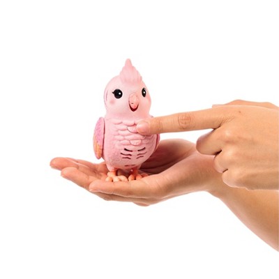 Little Live Pets Rosie Real Bird and Cage: Interactive Singing & Recording Toy