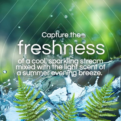 Air Wick Plug-in Scented Oil Air Freshener Refills - 4pk