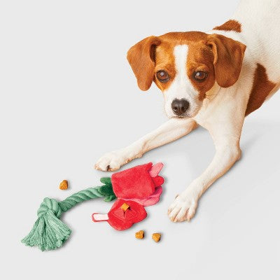 Rose Snuffle Plush Rope Dog Toy - Boots & Barkley