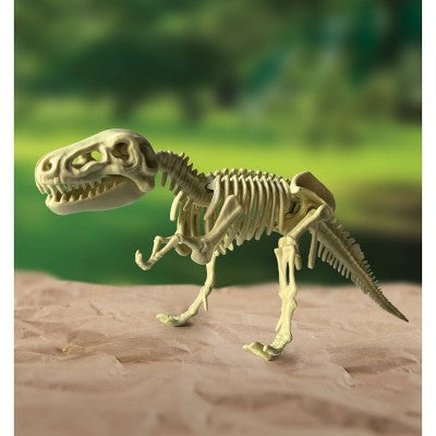 Smithsonian Dinosaur Fossils