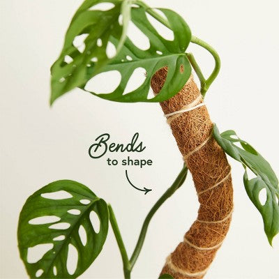 WE THE WILD Houseplant Sustainable Moss Pole Coco Climber Wood