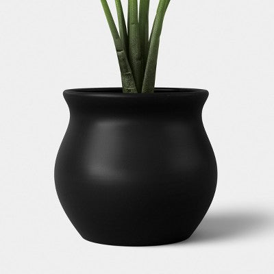 25" Banana Leaf Plant - Threshold (LOCAL PICKUP ONLY)
