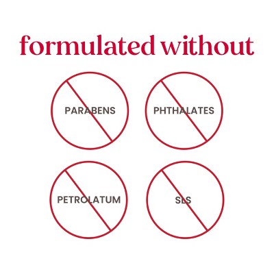 Burt's Bees Hive Favorites Lip Balm Gift Set - Vanilla Bean