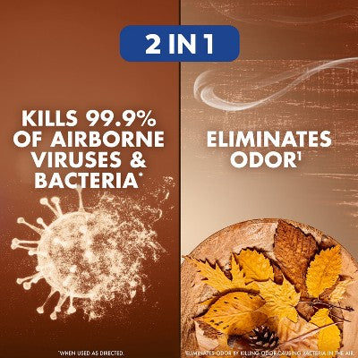 Lysol Aerosol Air Sanitizer - Woodland Escape - 10oz