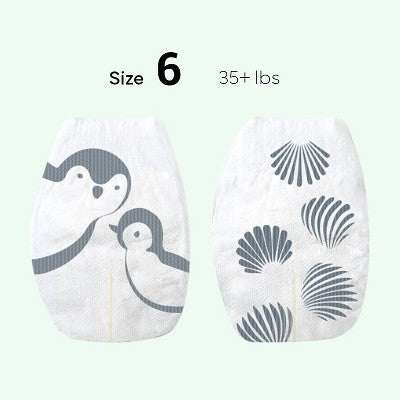 Parasol Chlorine-Free Diapers with RashShield Protection - Size 6 - 40ct