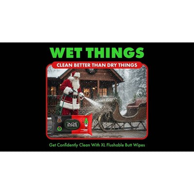 Dude Wipes Dingle Bells Flushable Wipes - 3pk/48ct