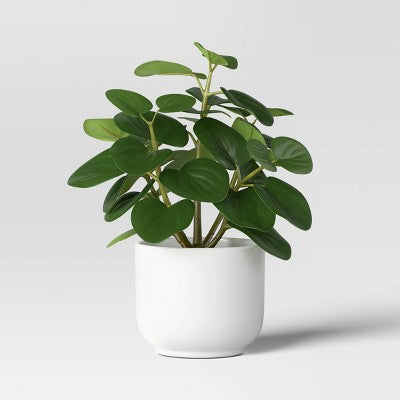 4.3" Set of 3 Mini Artificial Plants in White Pot - Room Essentials