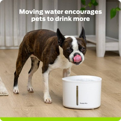 Premier Pet 110oz Dog and Cat Automated Fountain - White
