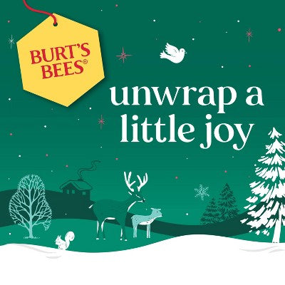 Burt's Bees Holiday Limited Edition Stocking Stuffer Moisturizing Lip Balm - Vanilla Maple - 0.15oz