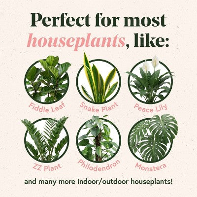 WE THE WILD Protect Spray Organic Botanical Leaf Shine & Care For Houseplants 8.5 fl oz