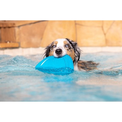 Project Hive Pet Company Soothing Vanilla Disc and Reversible Lick Mat Interactive Dog Toy - Blue