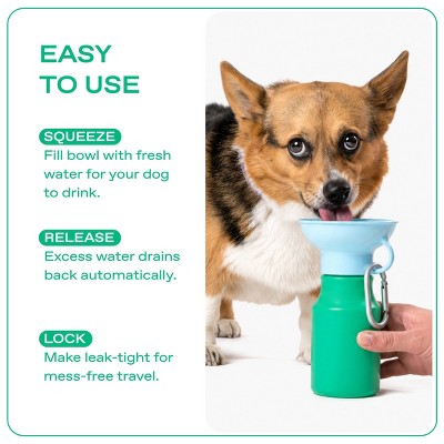 Springland 15 fl oz Mini Travel Dog Water Bottle - Green/Sky Blue