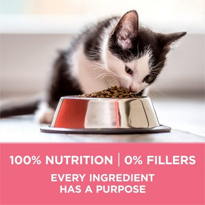 Purina ONE Healthy Kitten Formula Natural Chicken Flavor Dry Cat Food - 3.5lbs
