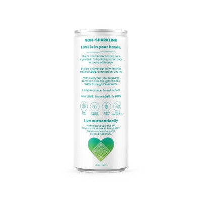Be Love Berry Citrus Zest Water - 4pk/12 fl oz