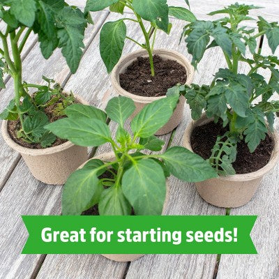 Back to the Roots 8qt Organic Expanding Seed Starting Soil Premium 100% Coconut Coir
