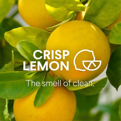 Clorox Lemon All Purpose Liquid Cleaner Refill - 64 fl oz