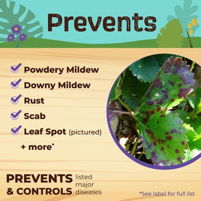 Bonide Captain Jack's Neem Max 128oz Ready-to-Use with Power Sprayer