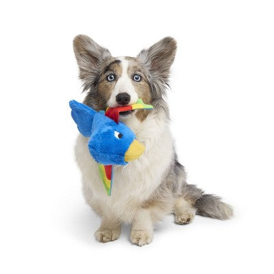 BARK Sniffin Booty Polly Roger Dog Animal Plush Toy