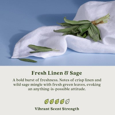 Enviroscent Auto Stix 2pk Fresh Linen and Sage