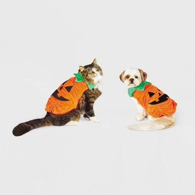 Plush Pumpkin Halloween Dog and Cat Costume - S - Boots & Barkley