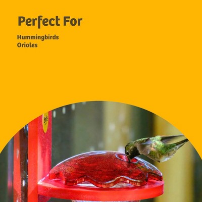 Birds Choice Hummingbird and Oriole Nectar 8 oz