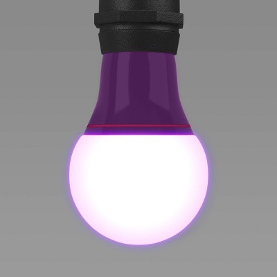 2pk LED Halloween Novelty Replacement Bulbs Purple