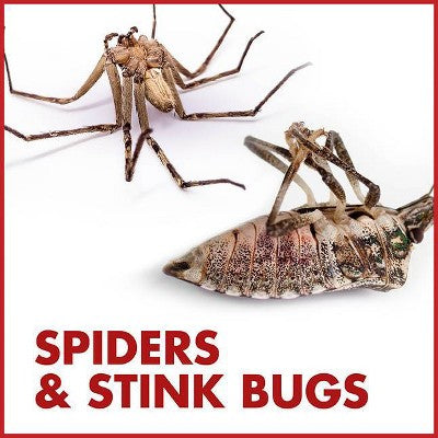 Spectracide Bug Stop Insecticide 32oz