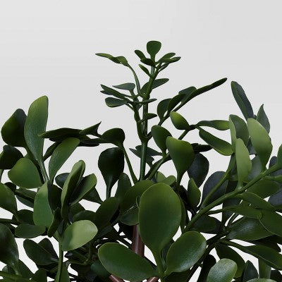 4.3" Set of 3 Mini Artificial Plants in Black Pot - Room Essentials