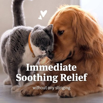 PetArmor Anti-Itch Spray for Dogs & Cats - 4 fl oz