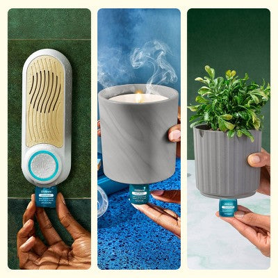 Lifelines Crisp Mountain Air Essential Oil Clickwick