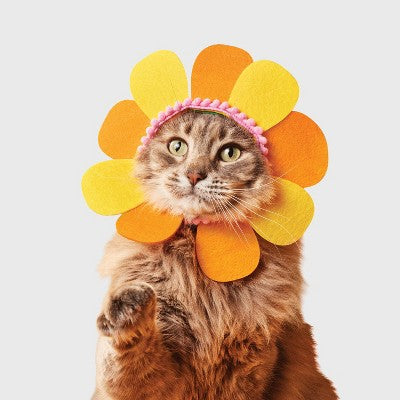 Flower Cat Headpiece Costume - Boots & Barkley Orange One Size Fits Most