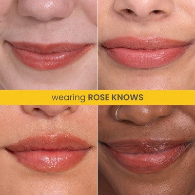 Burt's Bees Boosted Tinted Lip Balm - Rose Knows - 0.16oz