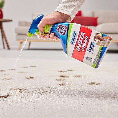 Woolite INSTAclean Pet Stain Liquid Remover - 22oz